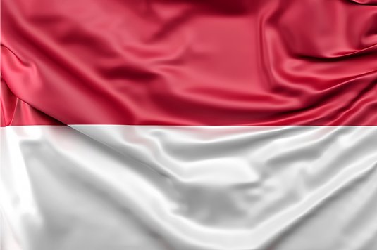 Shipping from China to Indonesia