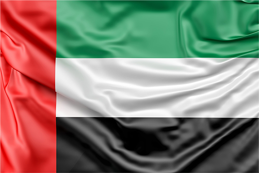 Shipping from China to the UAE