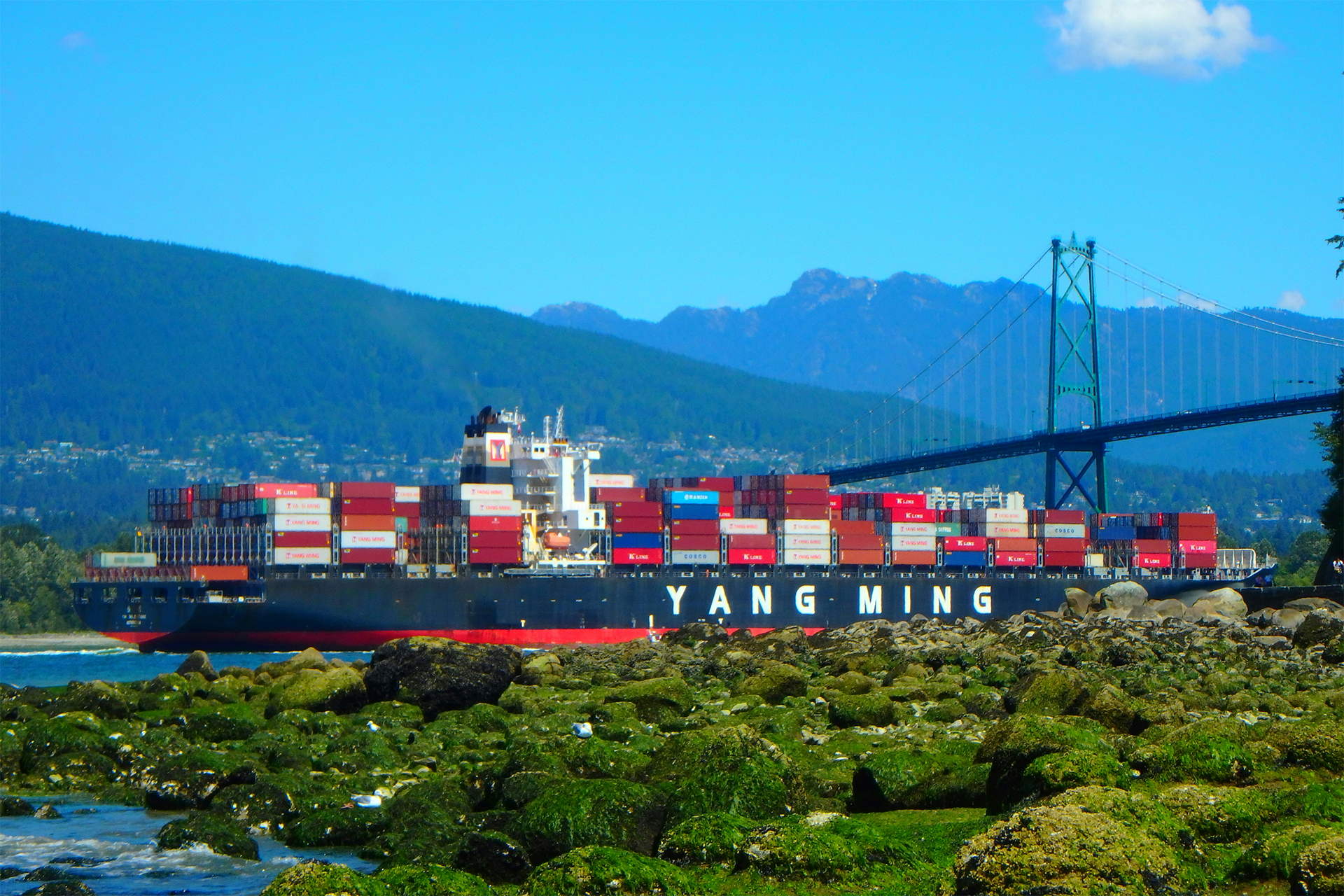 China to France ocean freight planning