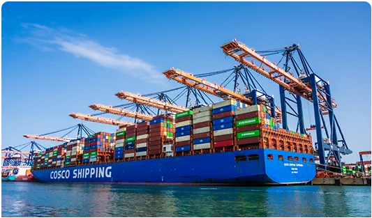 Container ship and port cranes for an import documentation article.