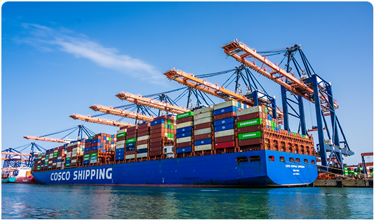 SMEs & First-Time Importers