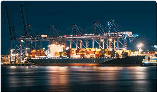 Container vessel and terminal cranes at night.